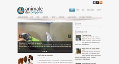 Desktop Screenshot of animaledecompanie.info